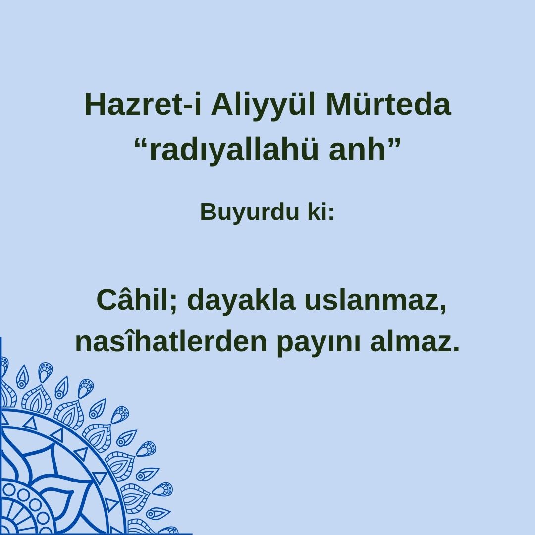 Aliyyül Mürteda (52)